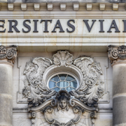 Ringvorlesung für Geflüchtete an der Viadrina (Foto: dpa/Patrick Pleul)