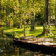 Ferienwoche für geflüchtete ukrainische Familien mit Kahnfahrt im Spreewald (Foto: Edler von Rabenstein – stock.adobe.com)