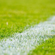 Sportvereine leisten großen Beitrag zur Integration (Foto: StockSnap / pixabay.com)